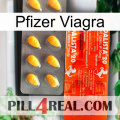 Pfizer Viagra new01